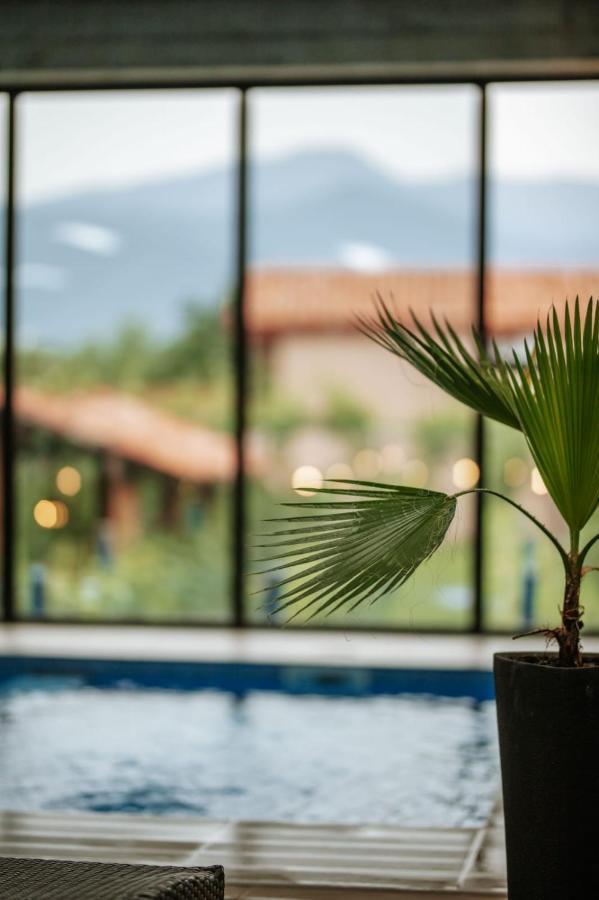 Vineyard Hotel & Winery Napareuli Luaran gambar