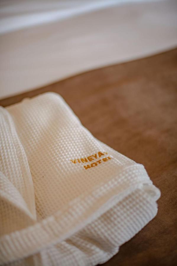 Vineyard Hotel & Winery Napareuli Luaran gambar