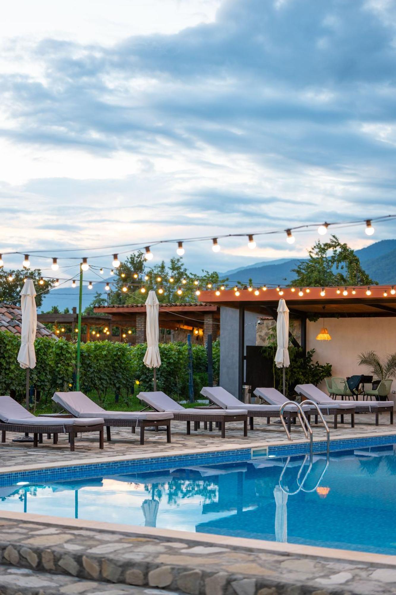 Vineyard Hotel & Winery Napareuli Luaran gambar