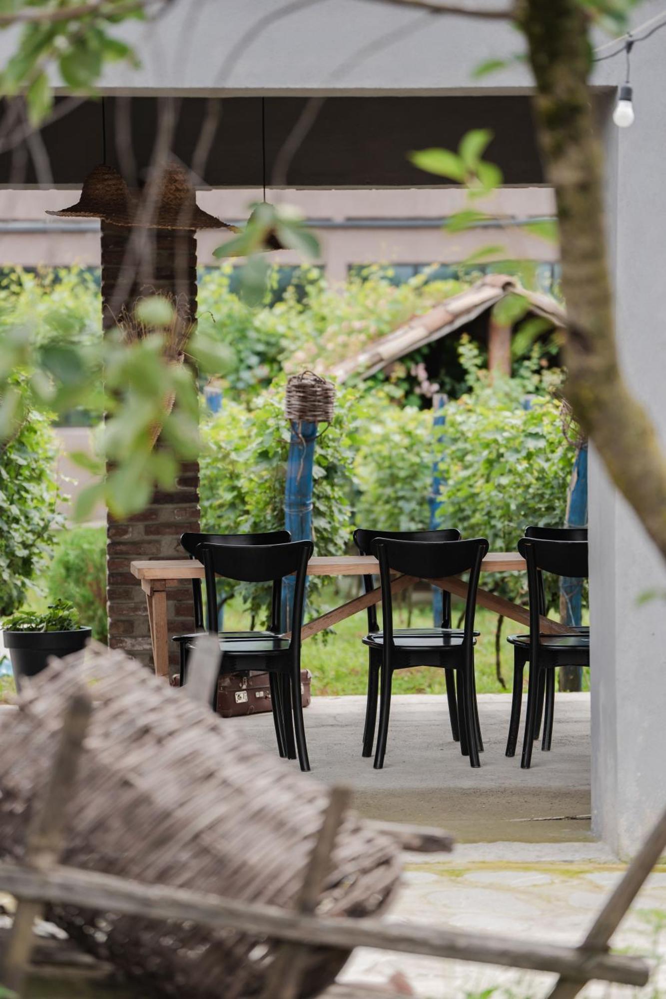 Vineyard Hotel & Winery Napareuli Luaran gambar