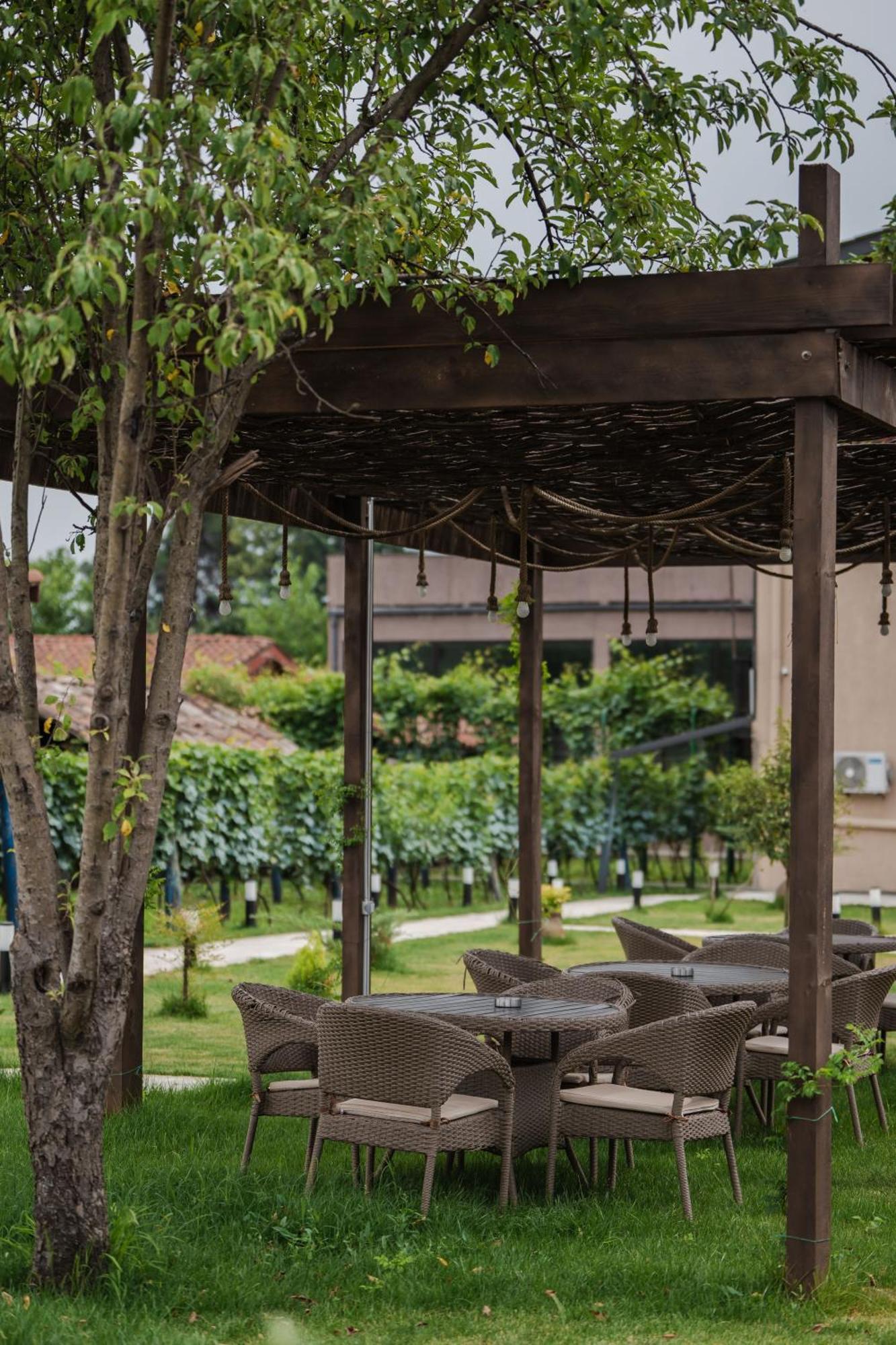 Vineyard Hotel & Winery Napareuli Luaran gambar