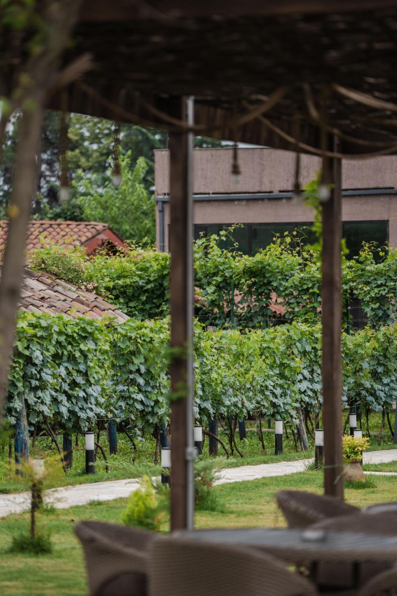 Vineyard Hotel & Winery Napareuli Luaran gambar